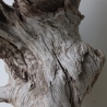 Treibholz Schwemmholz Driftwood 1 knorrige XL  Wurzel  57 cm 