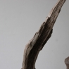 Treibholz Schwemmholz Driftwood 1 knorrige XL  Wurzel  57 cm 