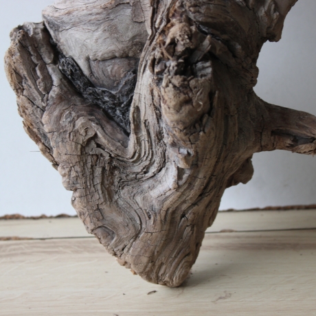 Treibholz Schwemmholz Driftwood 1 knorrige XL  Wurzel  57 cm 