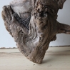 Treibholz Schwemmholz Driftwood 1 knorrige XL  Wurzel  57 cm 