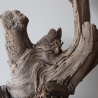 Treibholz Schwemmholz Driftwood 1 knorrige XL  Wurzel  57 cm 