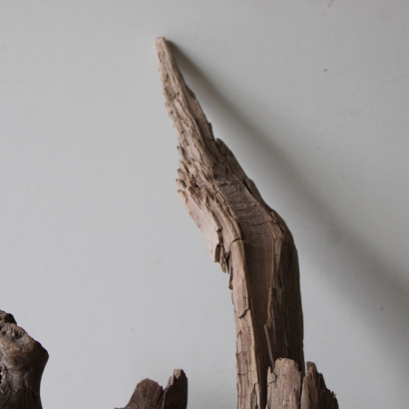 Treibholz Schwemmholz Driftwood 1 knorrige XL  Wurzel  57 cm 