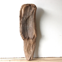 Treibholz Schwemmholz Driftwood 1 knorrige  Skulptur  49  cm 
