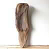 Treibholz Schwemmholz Driftwood 1 knorrige  Skulptur  49  cm 