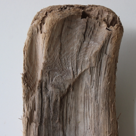 Treibholz Schwemmholz Driftwood 1 knorrige  Skulptur  49  cm 