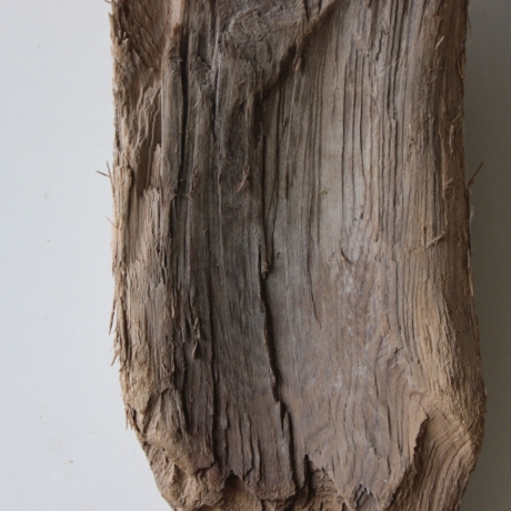 Treibholz Schwemmholz Driftwood 1 knorrige  Skulptur  49  cm 