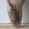 Treibholz Schwemmholz Driftwood 1 knorrige  Skulptur  49  cm 