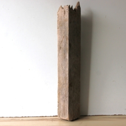 Treibholz Schwemmholz Driftwood 1 XL Balken Regal 62 cm 