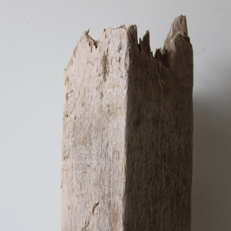 Treibholz Schwemmholz Driftwood 1 XL Balken Regal 62 cm 