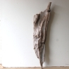 Treibholz Schwemmholz Driftwood 1 XXL  Skulptur  85  cm 