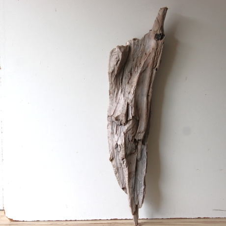 Treibholz Schwemmholz Driftwood 1 XXL  Skulptur  85  cm 