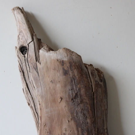 Treibholz Schwemmholz Driftwood 1 XXL  Skulptur  85  cm 