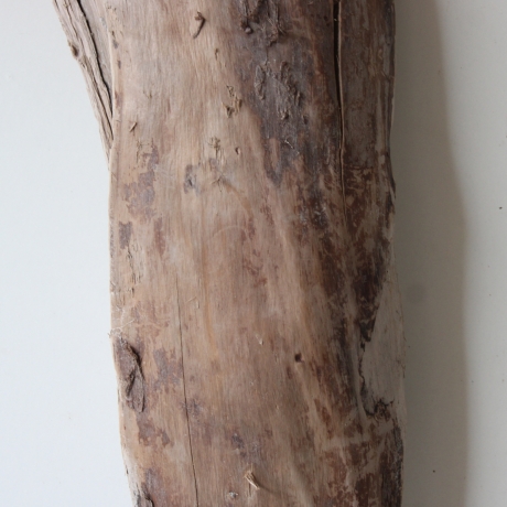 Treibholz Schwemmholz Driftwood 1 XXL  Skulptur  85  cm 