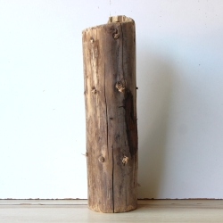 Treibholz Schwemmholz Driftwood 1  Stamm  Terrarium 43 cm 