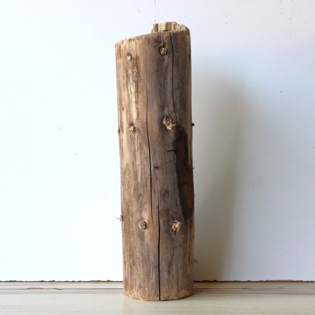 Treibholz Schwemmholz Driftwood 1  Stamm  Terrarium 43 cm 