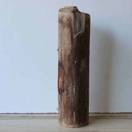 Treibholz Schwemmholz Driftwood 1  Stamm  Terrarium 43 cm 