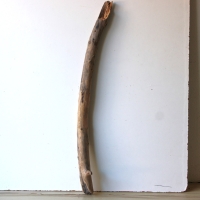 Treibholz Schwemmholz Driftwood 1 XL Ast  Garderobe 92  cm  