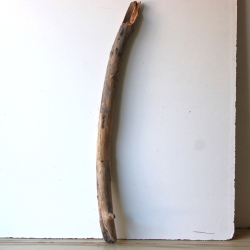 Treibholz Schwemmholz Driftwood 1 XL Ast  Garderobe 92  cm  