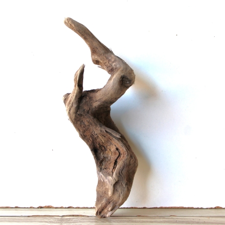 Treibholz Schwemmholz Driftwood 1  Wurzel  Terrarium 37 cm