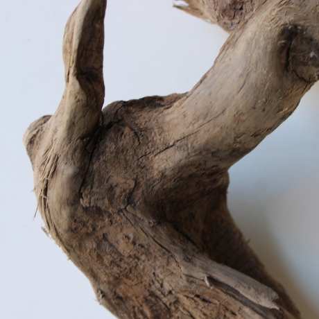 Treibholz Schwemmholz Driftwood 1  Wurzel  Terrarium 37 cm