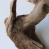 Treibholz Schwemmholz Driftwood 1  Wurzel  Terrarium 37 cm