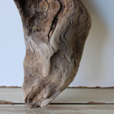 Treibholz Schwemmholz Driftwood 1  Wurzel  Terrarium 37 cm