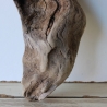 Treibholz Schwemmholz Driftwood 1  Wurzel  Terrarium 37 cm