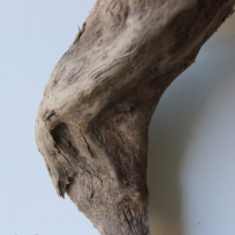 Treibholz Schwemmholz Driftwood 1  Wurzel  Terrarium 37 cm