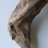 Treibholz Schwemmholz Driftwood 1  Wurzel  Terrarium 37 cm