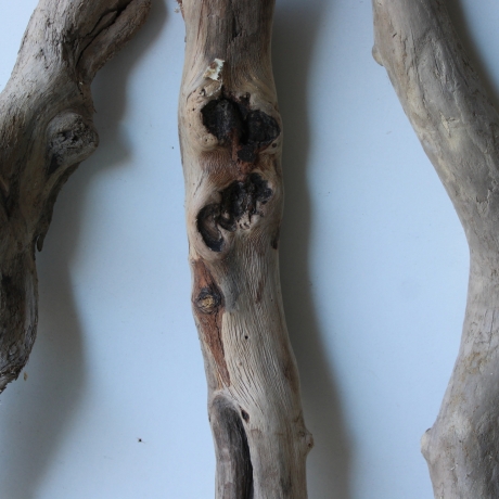 Treibholz Schwemmholz Driftwood 3 Hölzer 45-50 cm 