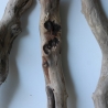 Treibholz Schwemmholz Driftwood 3 Hölzer 45-50 cm 