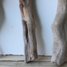 Treibholz Schwemmholz Driftwood 3 Hölzer 45-50 cm 