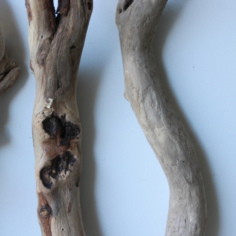Treibholz Schwemmholz Driftwood 3 Hölzer 45-50 cm 