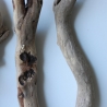 Treibholz Schwemmholz Driftwood 3 Hölzer 45-50 cm 