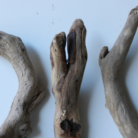 Treibholz Schwemmholz Driftwood 3 Hölzer 45-50 cm 