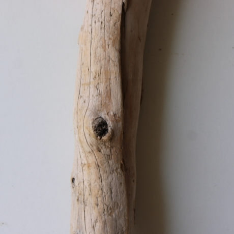 Treibholz Schwemmholz Driftwood 1  Stamm  Terrarium 88 cm 