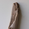 Treibholz Schwemmholz Driftwood 1  Stamm  Terrarium 88 cm 