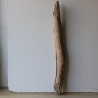 Treibholz Schwemmholz Driftwood 1  Stamm  Terrarium 88 cm 