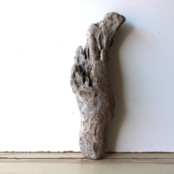 Treibholz Schwemmholz Driftwood 1 knorrige Skulptur  40 cm 
