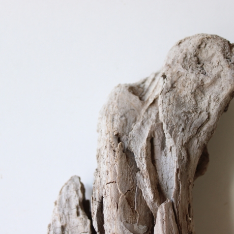 Treibholz Schwemmholz Driftwood 1 knorrige Skulptur  40 cm 