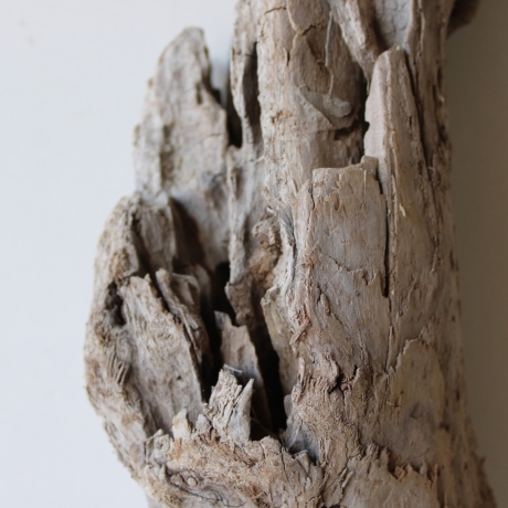 Treibholz Schwemmholz Driftwood 1 knorrige Skulptur  40 cm 
