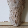 Treibholz Schwemmholz Driftwood 1 knorrige Skulptur  40 cm 
