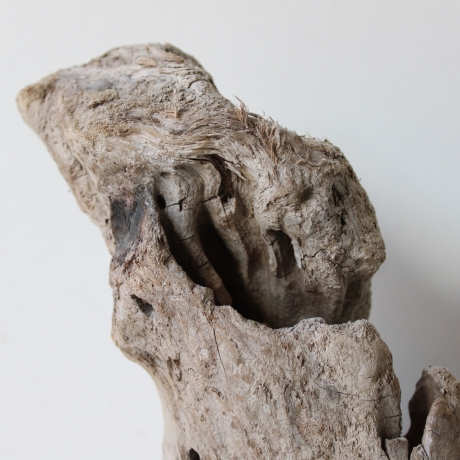Treibholz Schwemmholz Driftwood 1 knorrige Skulptur  40 cm 