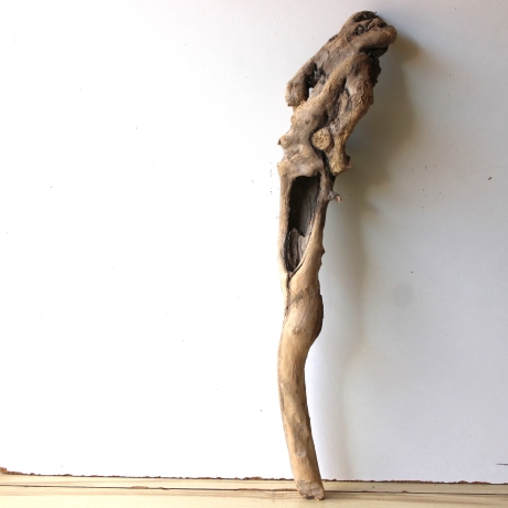Treibholz Schwemmholz Driftwood 1 hohle  Wurzel  Terrarium 77 cm