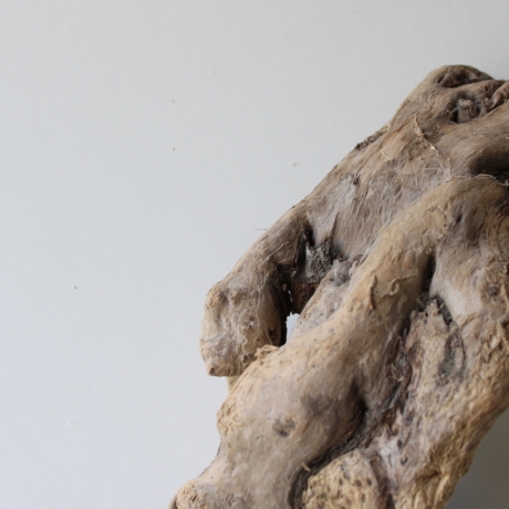 Treibholz Schwemmholz Driftwood 1 hohle  Wurzel  Terrarium 77 cm