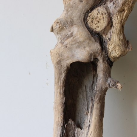 Treibholz Schwemmholz Driftwood 1 hohle  Wurzel  Terrarium 77 cm