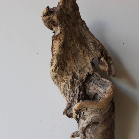 Treibholz Schwemmholz Driftwood 1 hohle  Wurzel  Terrarium 77 cm
