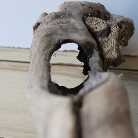 Treibholz Schwemmholz Driftwood 1 hohle  Wurzel  Terrarium 77 cm