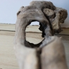 Treibholz Schwemmholz Driftwood 1 hohle  Wurzel  Terrarium 77 cm