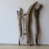 Treibholz Schwemmholz Driftwood 3 XL  Hölzer 60-69 cm 